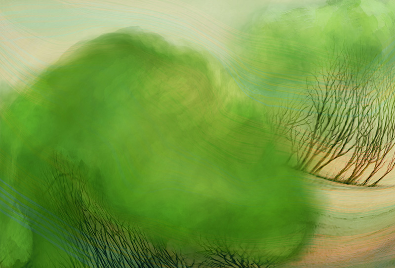 trees