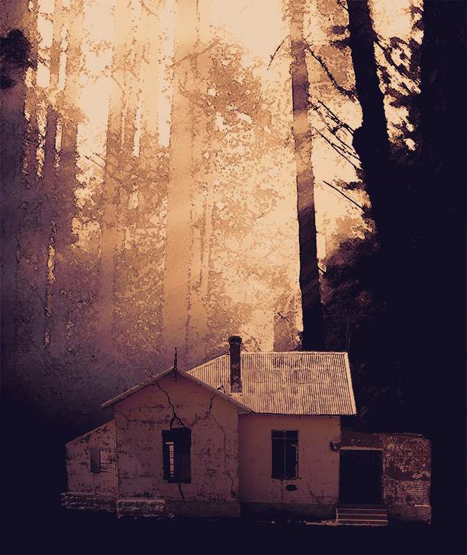 peaceful morning.jpg