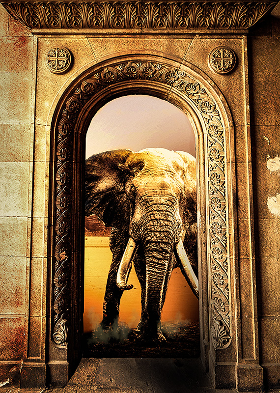 Elephant at the door