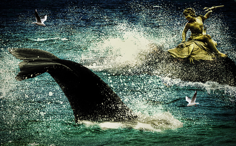 Whale capture 2.jpg