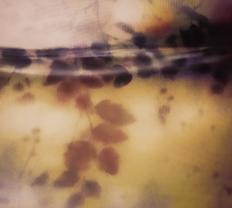 L1010639.jpg