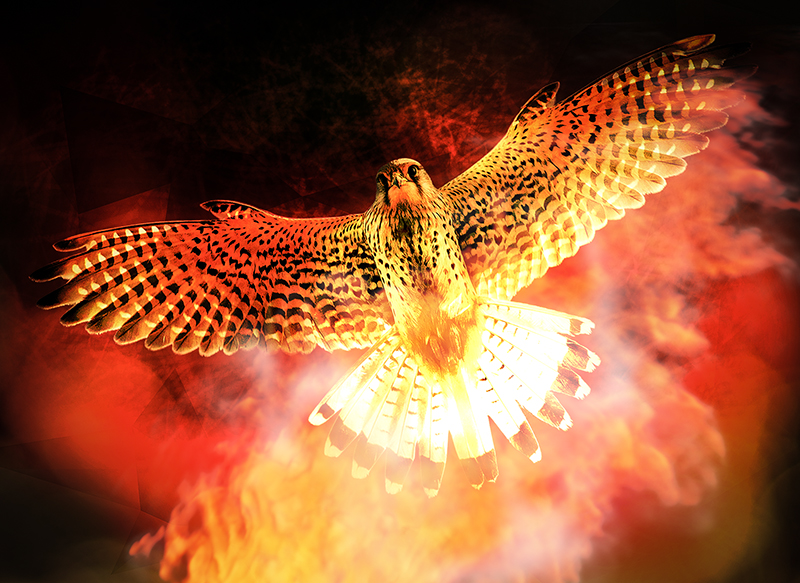 phoenix
