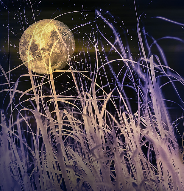 new moon copy.jpg
