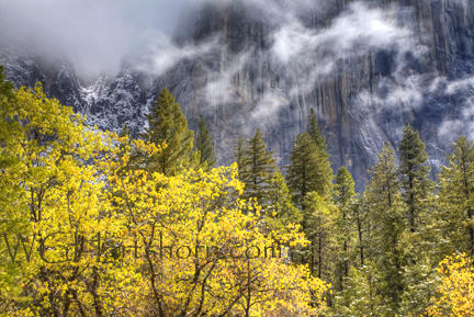 Misty Morning