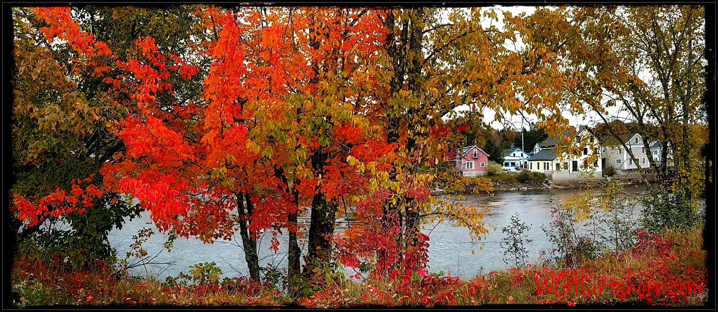 Backroad Autumn