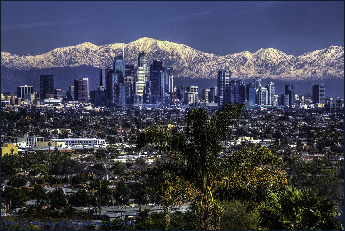 LOS ANGELES WINTER