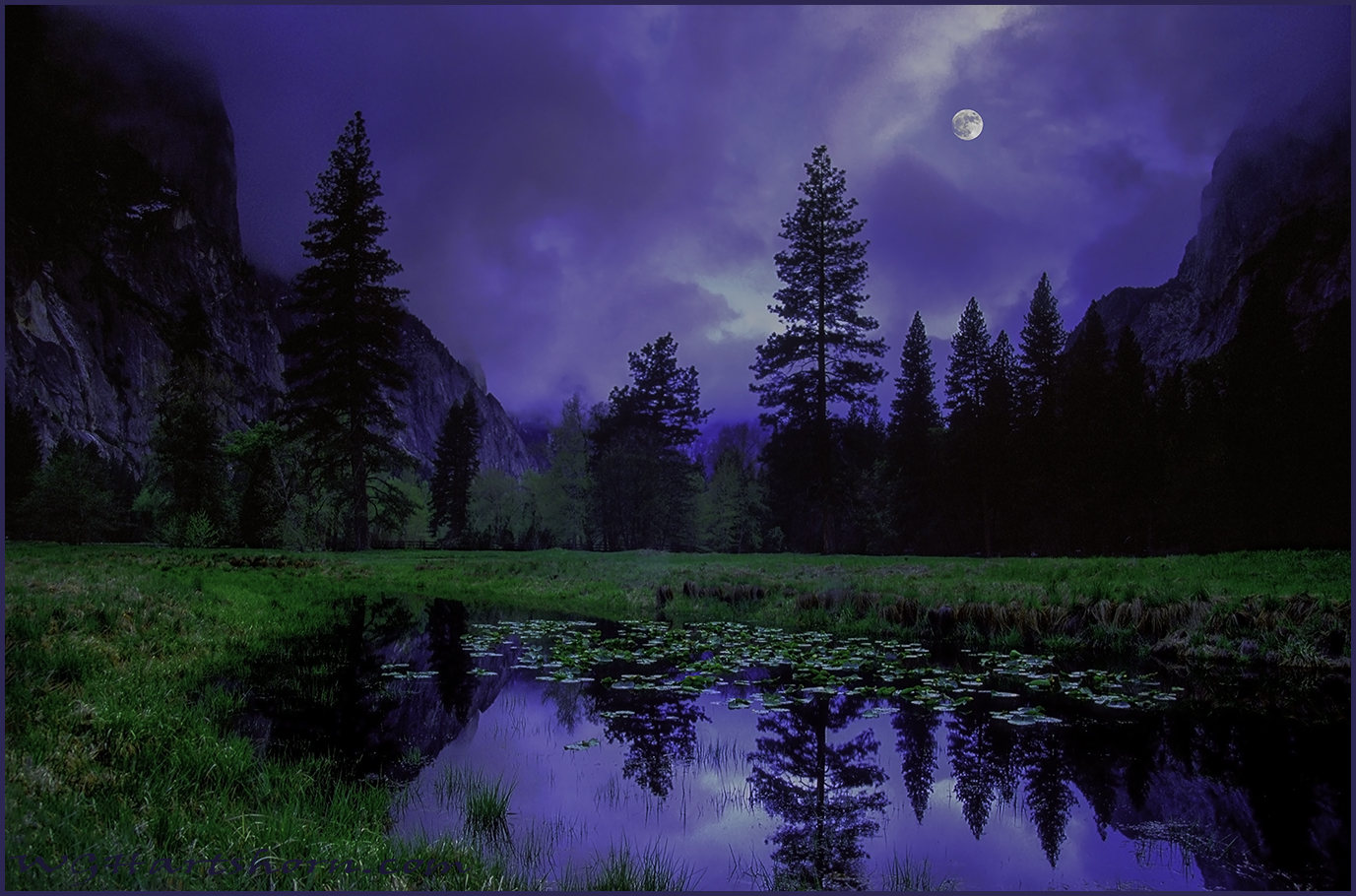 Moonlight Misty Meadow