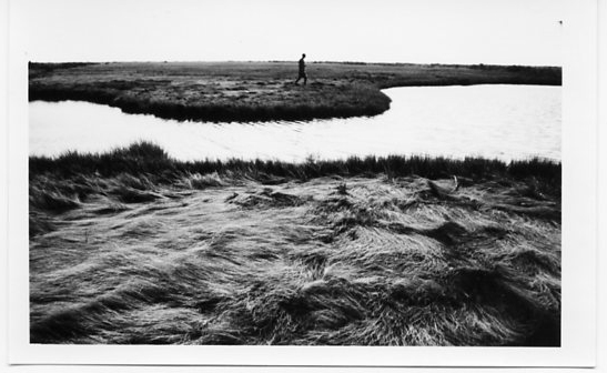 man on the salt marsh012.jpg