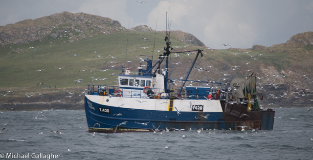 At close of remarkable boat ride NE Dublin near Howth harbor