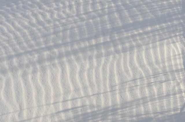 _DSC2564.jpg