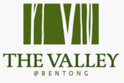 the-valley-logo-2.png