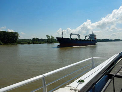 DSCN3618.JPG
