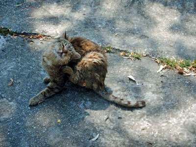 DSCN3700.JPG