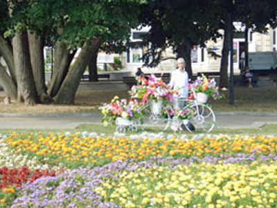 DSCN3755.JPG