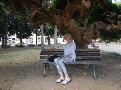 DSCN3764.JPG