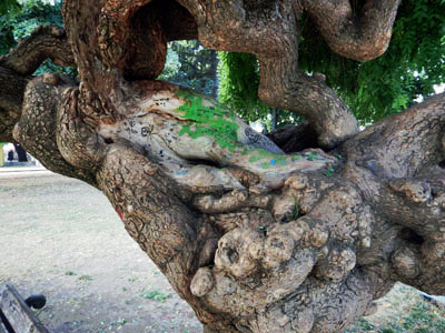 DSCN3765.JPG