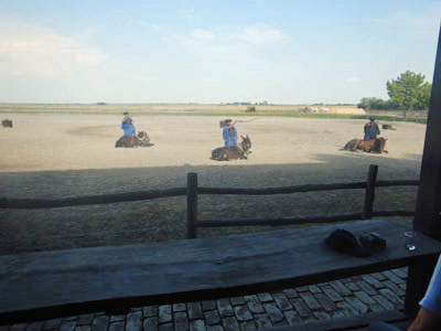 DSCN3900.JPG