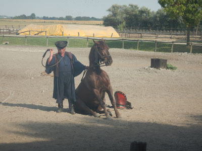 DSCN3906.JPG