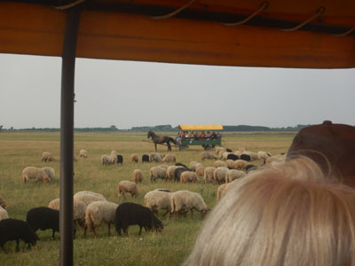 DSCN3930.JPG