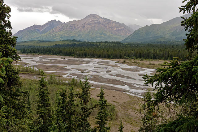 Teklanika River