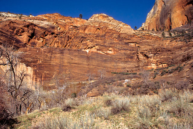 On the Weeping Rock Trail