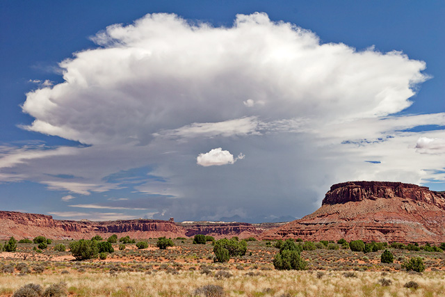 In the The Needles section of Canyonlands