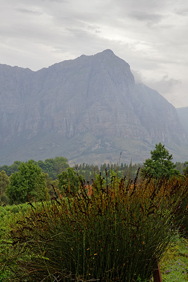 Hottentots-Holland Mountains