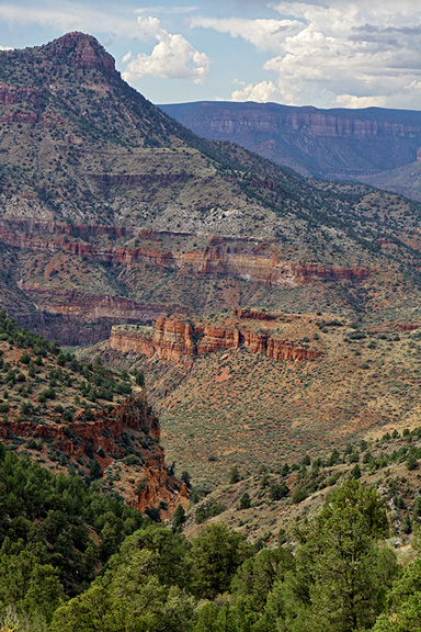 Salt River Canyon