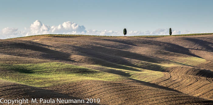 Tuscan countryside