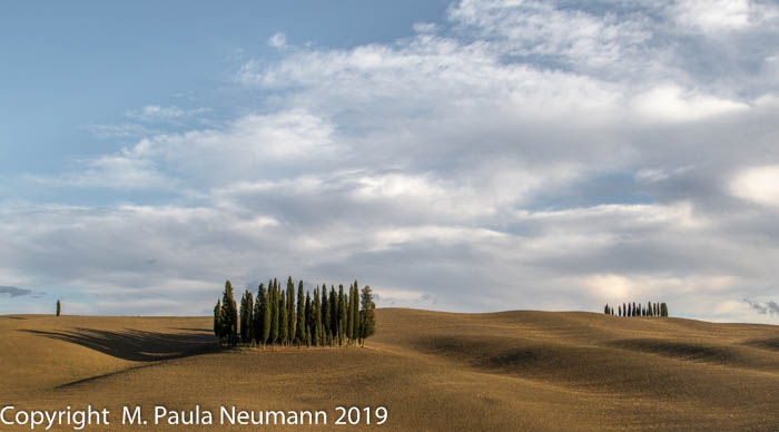 Circle of Cypresses