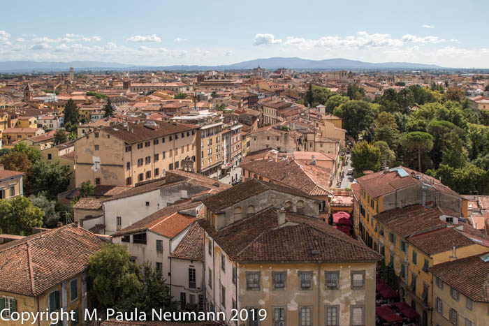 View from Tower of Pisa