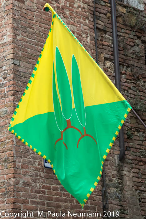 Cyprus flag in Buonconvento