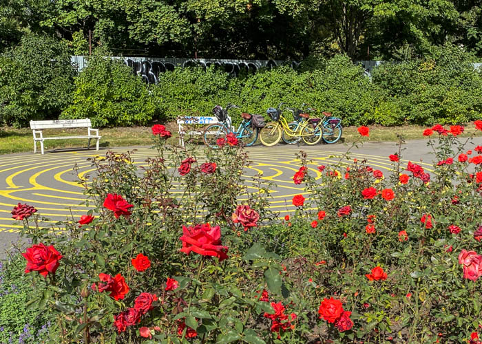 Garden on Perlin Hill