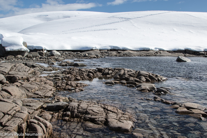 Shore of continental Antarctica