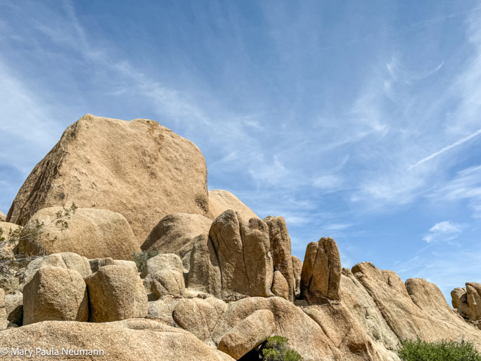 Joshua Tree park