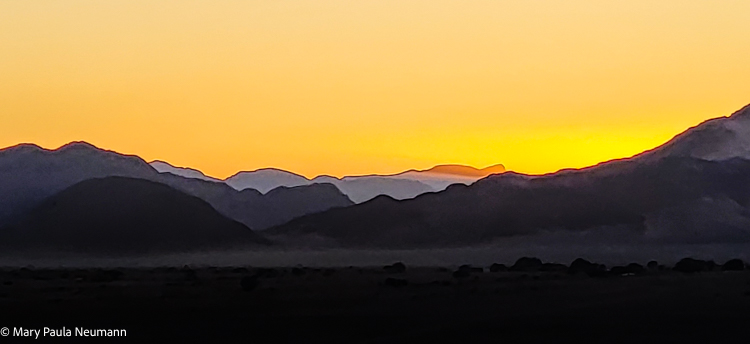 20240602-20240602_073806.jpg