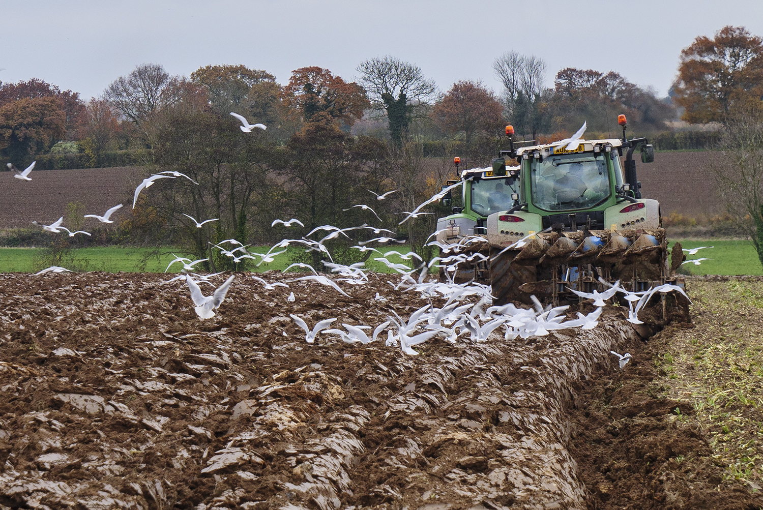 Twin Tractors
