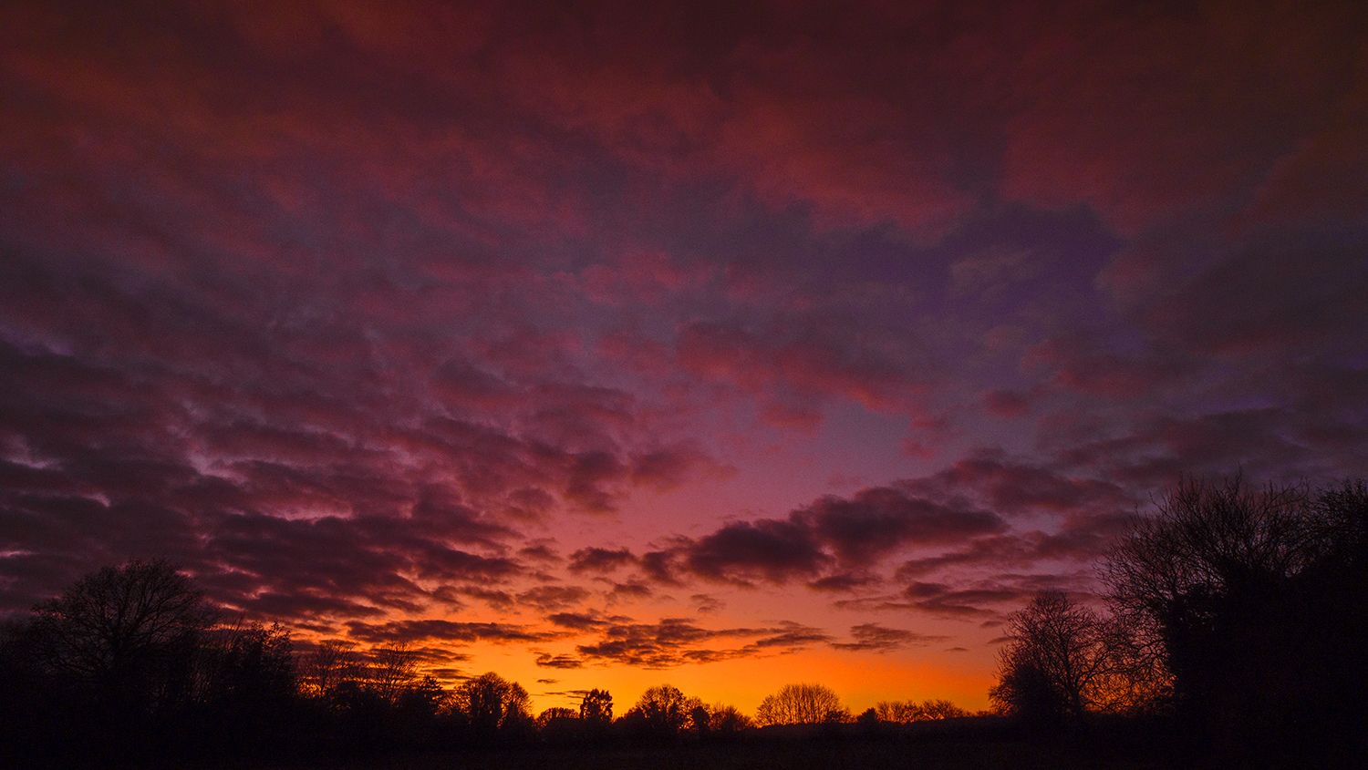 Plumstead Sunset