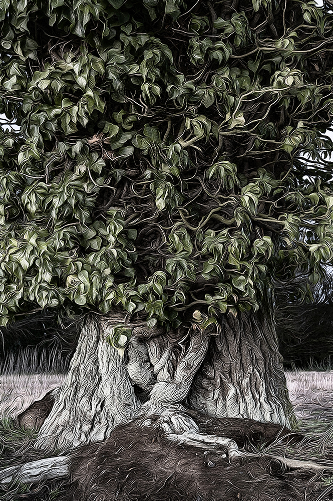 the_haunted_tree.