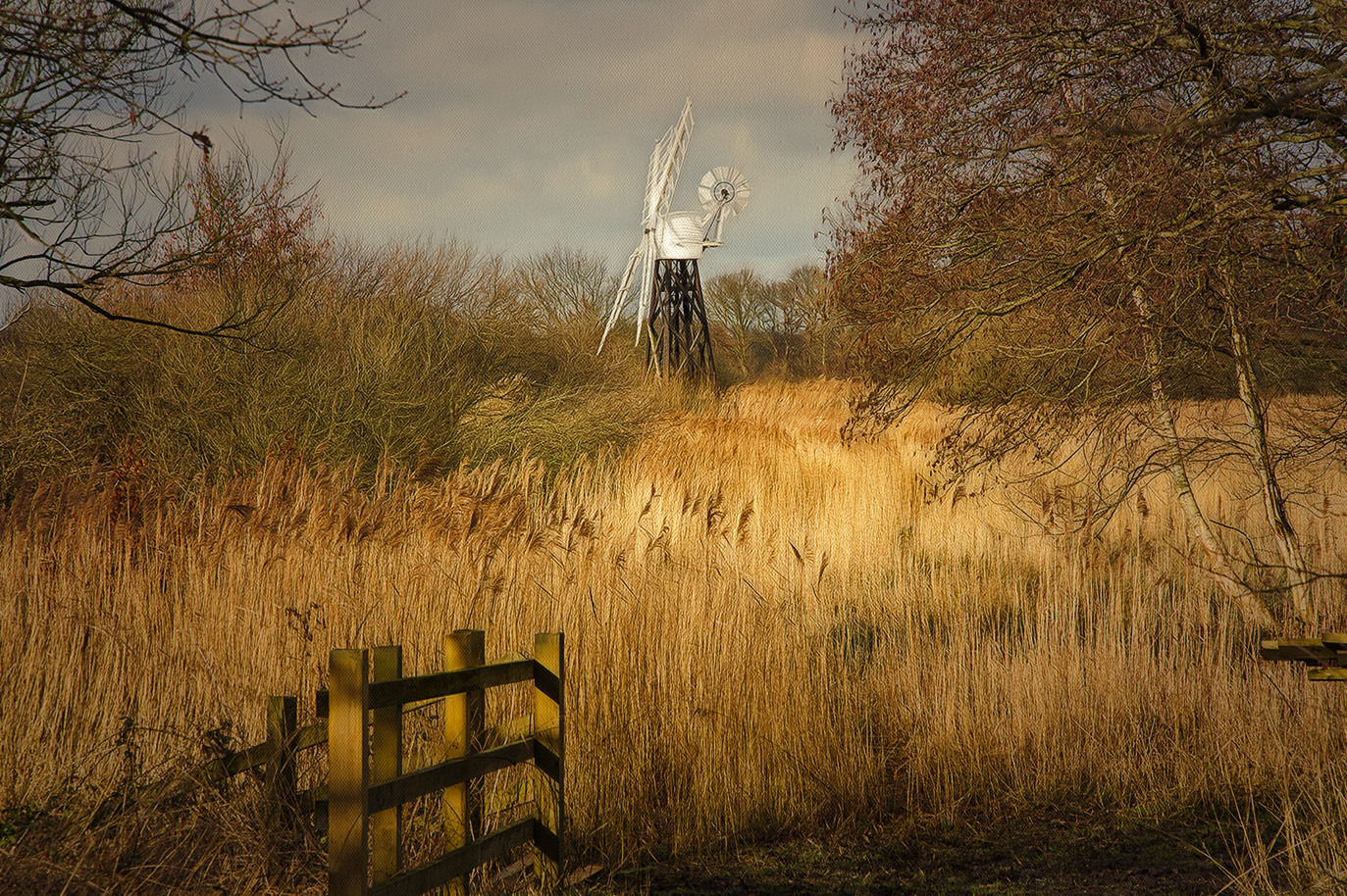 Autumn on the Norfolk Broads.jpg