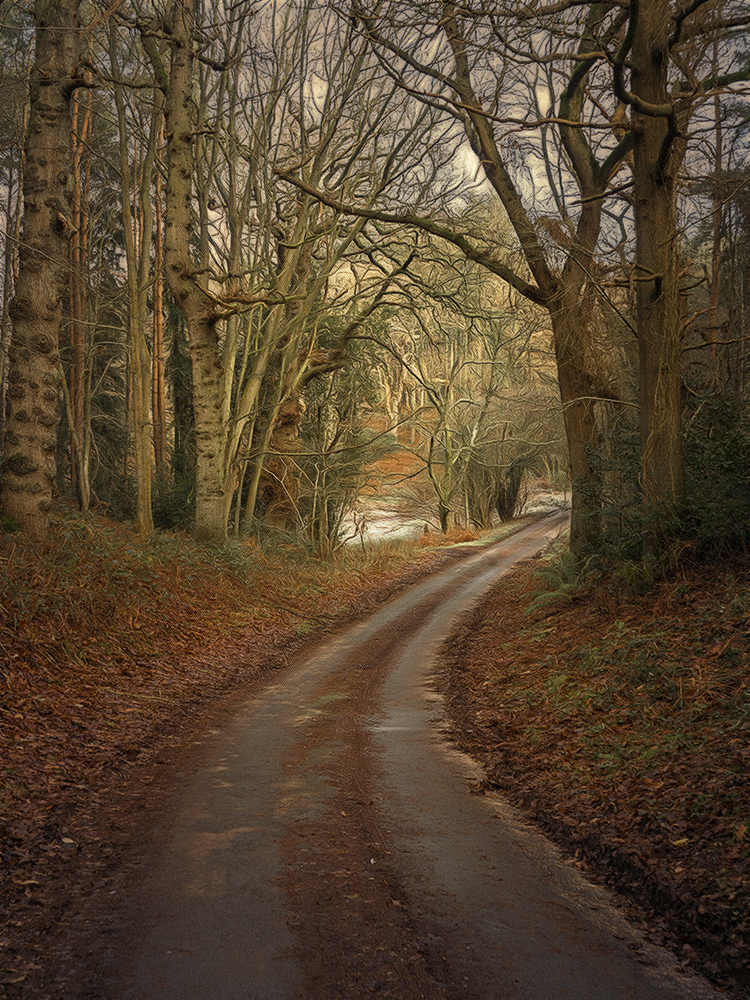 north norfolk backroads.jpg