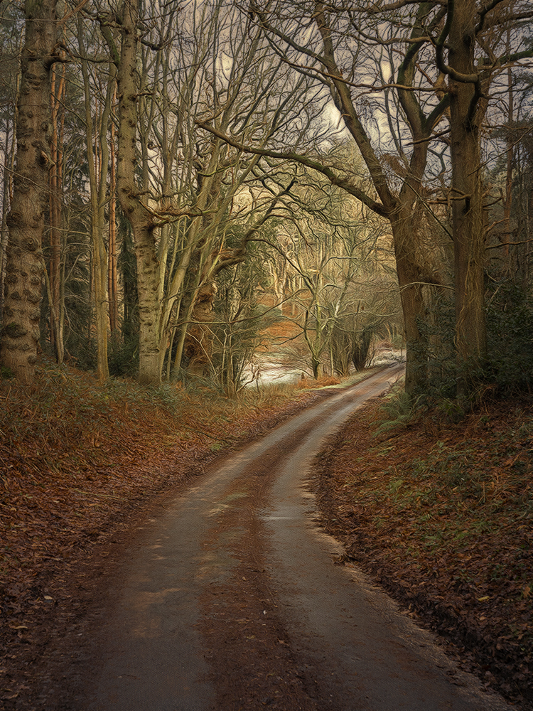 north norfolk backroads.jpg