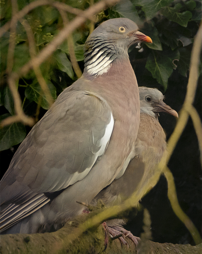 mother and child.jpg
