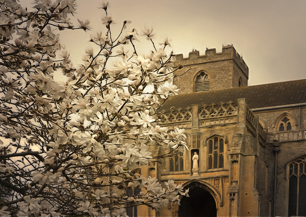 a spring is on the way.jpg