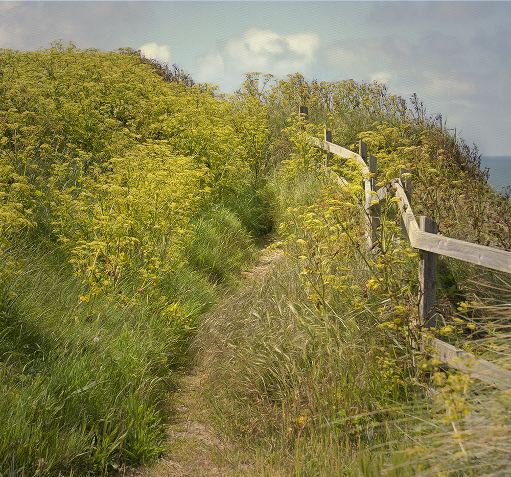 a the forgotten path..jpg