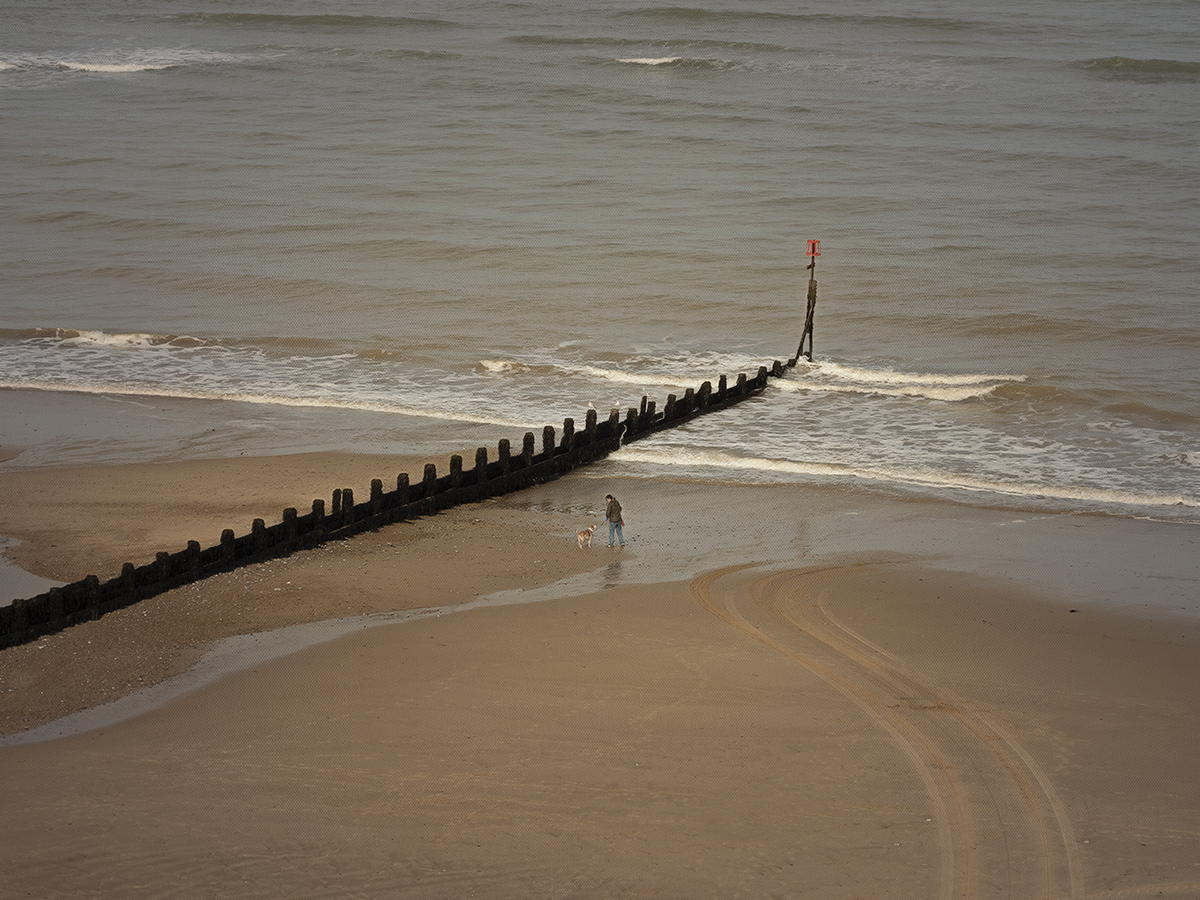 a lone on the beach.jpg