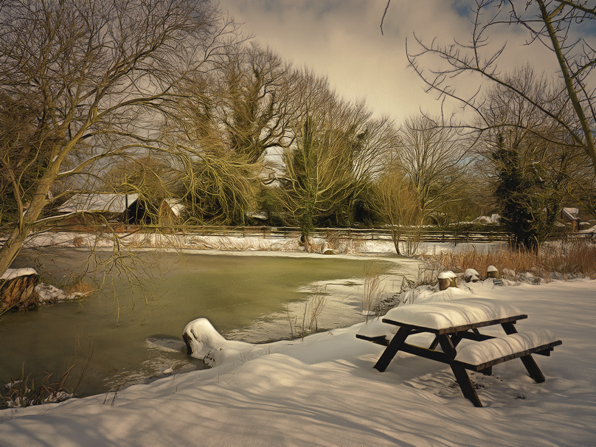 Our village pond in Winter..jpg