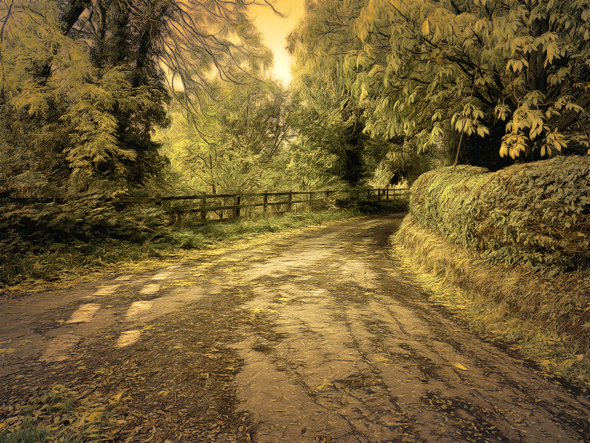 Country lane Partial Infrared.jpg