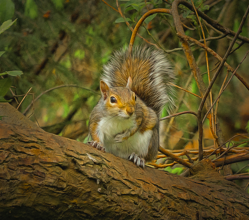 Stopped for a Rest..jpg