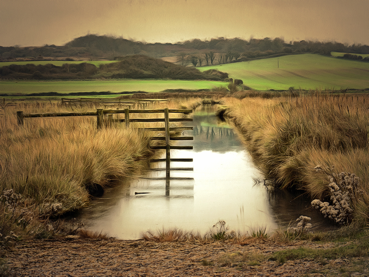 still waters.jpg